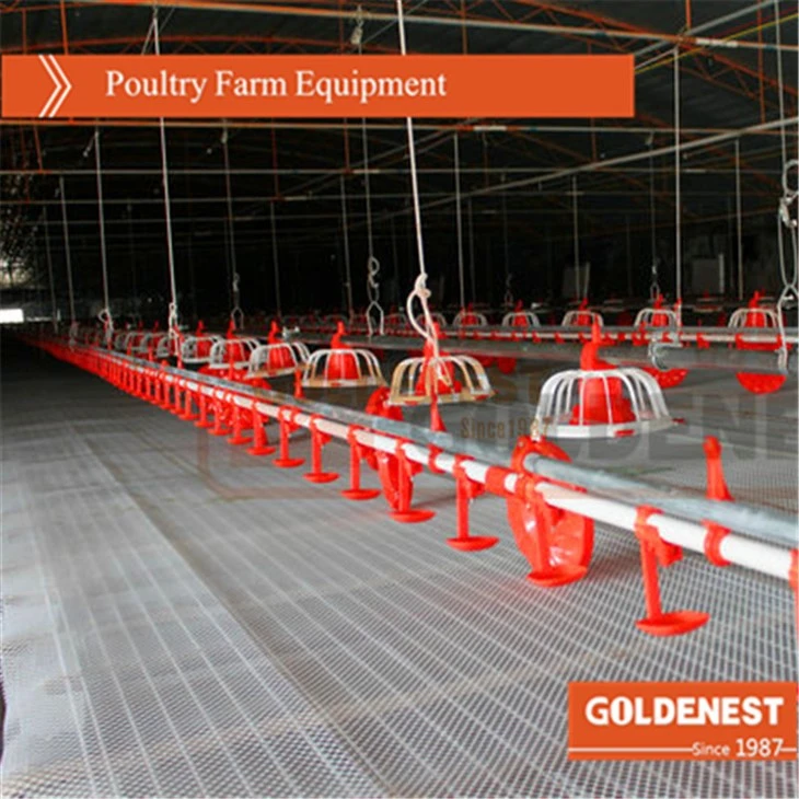 Complete Controlled Poultry Farm Equipment For Chicken House