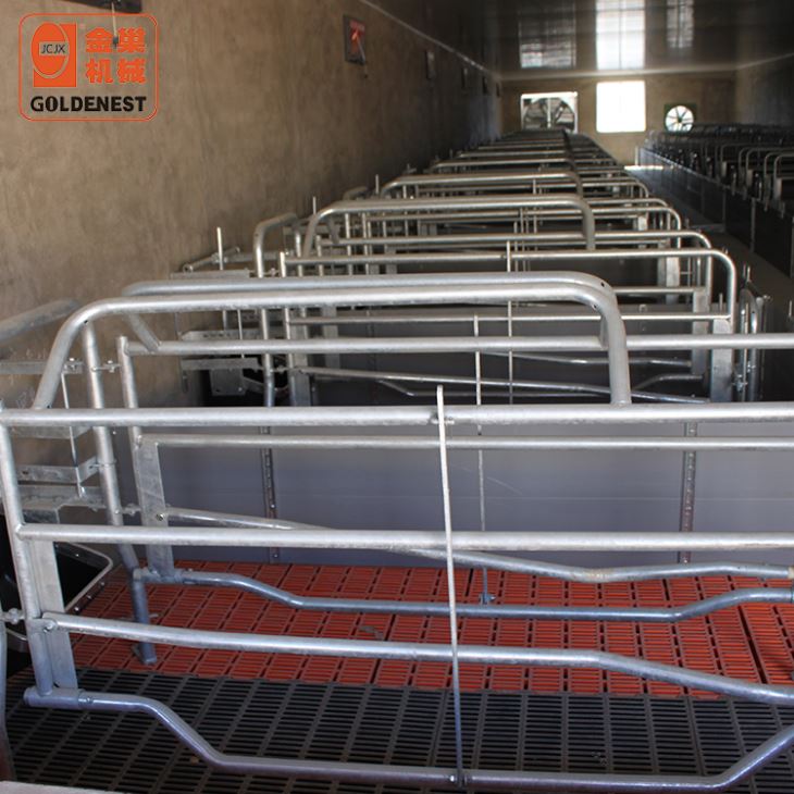 Livestock Sow Farrowing Crates Pig Farrowing Stall Livestock Sow Farrowing Crates Pig Farrowing Stall