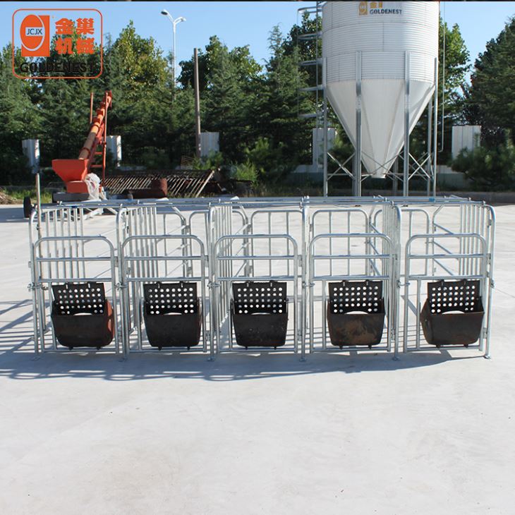 Livestock Sow Farrowing Crates Pig Farrowing Stall Livestock Sow Farrowing Crates Pig Farrowing Stall