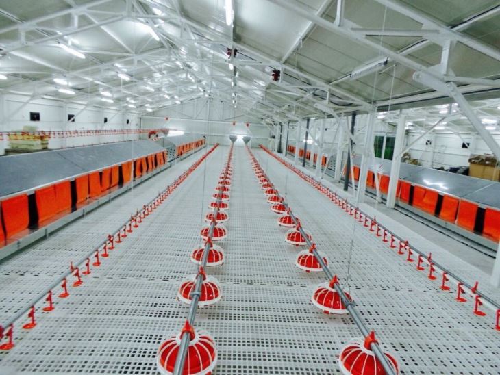 Complete Controlled Poultry Farm Equipment For Chicken House
