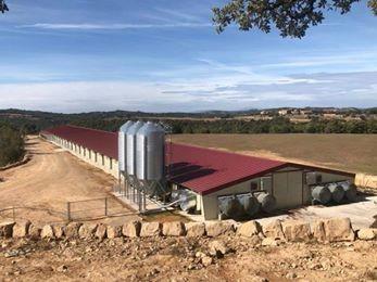Complete Poultry Farming Equipment In Chicken House